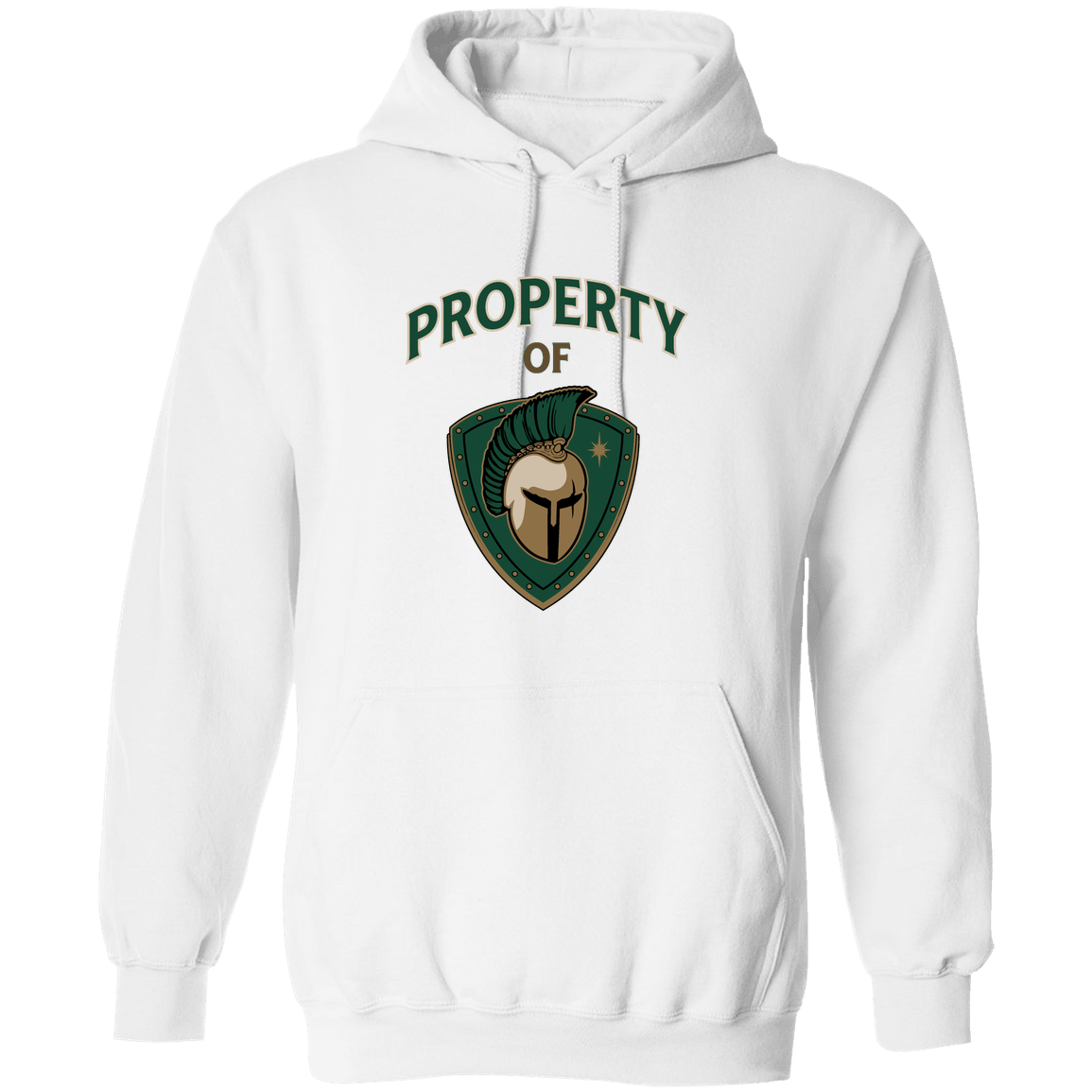 tc-titans-property-of-titans-gildan-pullover-hoodie — White — Front — source sha256 d02db5f7509207f910c33d8a8680624bf02d80d3bbfba4b40188714c2ee1836f — Color position 4