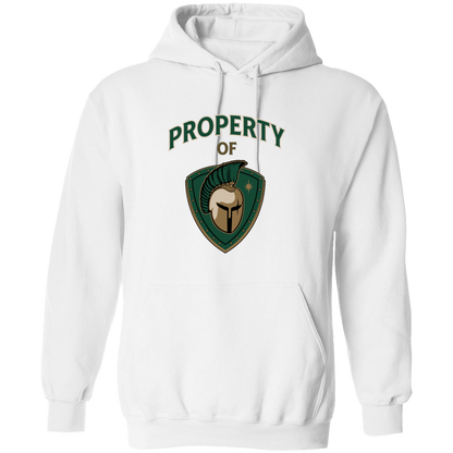 tc-titans-property-of-titans-gildan-pullover-hoodie — White — Front — source sha256 d02db5f7509207f910c33d8a8680624bf02d80d3bbfba4b40188714c2ee1836f — Color position 4
