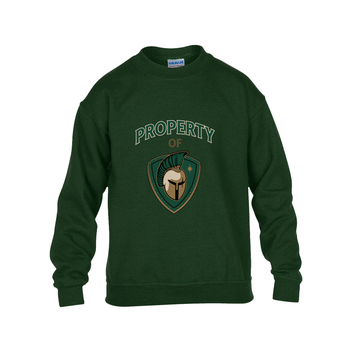 tc-titans-property-of-titans-gildan-kids-heavy-blend-fleece-crew — Forest Green — Front — source sha256 d1c63a74eb69ce3cfe971c45114514808bec88dfd0422b037186332f68d119ba — Color position 5