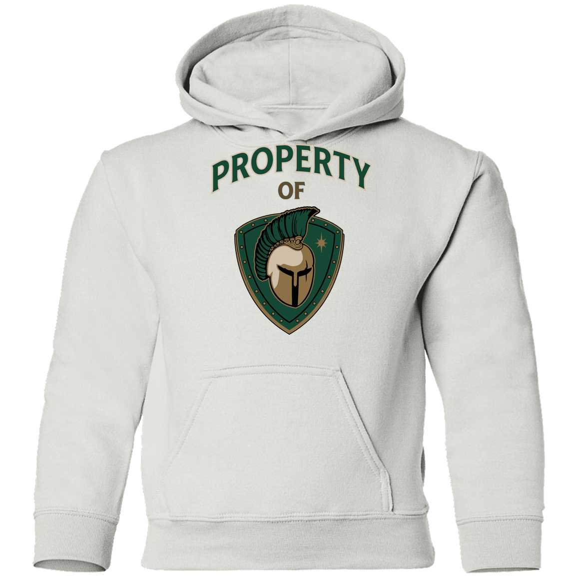 tc-titans-property-of-titans-gildan-youth-pullover-hoodie — White — Front — source sha256 d33782c8450889a2f7704261a460a46ecaa314f277d99588926e569d67430335 — Color position 2