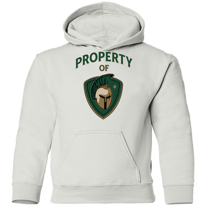 tc-titans-property-of-titans-gildan-youth-pullover-hoodie — White — Front — source sha256 d33782c8450889a2f7704261a460a46ecaa314f277d99588926e569d67430335 — Color position 2