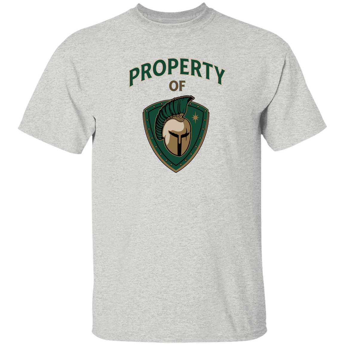 tc-titans-property-of-titans-gildan-youth-5-3-oz-100-cotton-t-shirt — Ash — Front — source sha256 d822e0f11b9f4c5f7ccdc885095008e3941184faefc7e0bdc428db0981cae58e — Color position 3