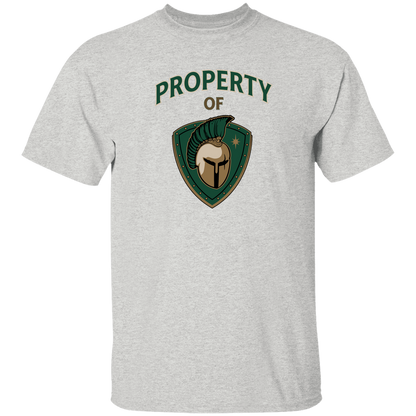 tc-titans-property-of-titans-gildan-5-3-oz-t-shirt — Ash — Front — source sha256 d822e0f11b9f4c5f7ccdc885095008e3941184faefc7e0bdc428db0981cae58e — Color position 4
