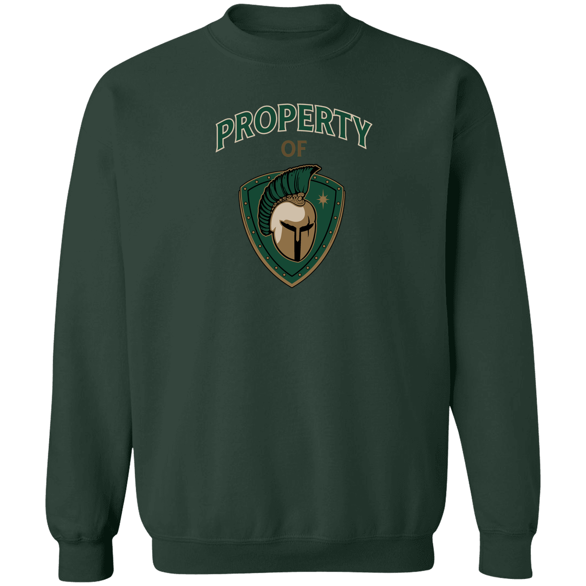 tc-titans-property-of-titans-gildan-crewneck-pullover-sweatshirt — Forest Green — Front — source sha256 ddd32dc6d4a7c71ee06a63dc5cd242439ec5ca26be38d58505976c3c8d995ac4 — Color position 7