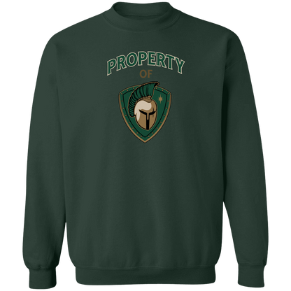 tc-titans-property-of-titans-gildan-crewneck-pullover-sweatshirt — Forest Green — Front — source sha256 ddd32dc6d4a7c71ee06a63dc5cd242439ec5ca26be38d58505976c3c8d995ac4 — Color position 7