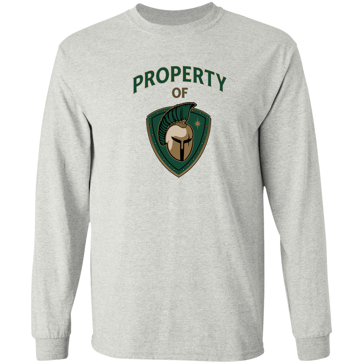 tc-titans-property-of-titans-gildan-ls-t-shirt-5-3-oz — Ash — Front — source sha256 e2ff22126d0c11c4f41bb7b2099d81789cafee7e3e482414ef36a4f7280adb11 — Color position 1