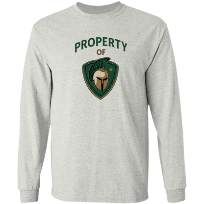 tc-titans-property-of-titans-gildan-ls-t-shirt-5-3-oz — Ash — Front — source sha256 e2ff22126d0c11c4f41bb7b2099d81789cafee7e3e482414ef36a4f7280adb11 — Color position 1