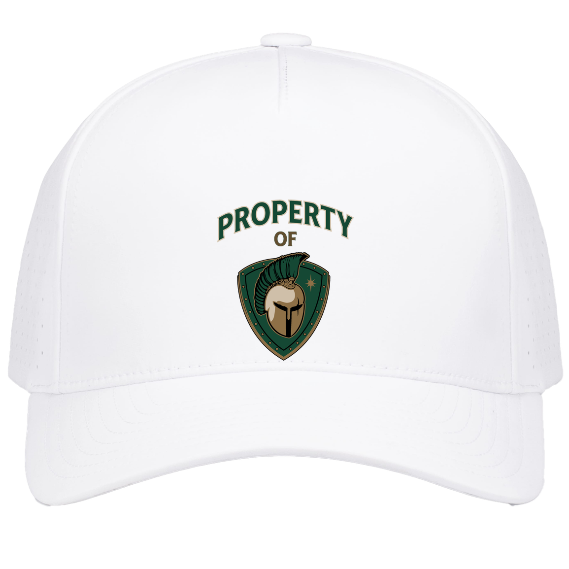tc-titans-property-of-titans-pacific-headwear-weekender-perforated-snapback-cap — White — Front — source sha256 e6c4f916220ab274054b2fd4287cee3d4678d2bfb42a4f2045b7167f260c3016 — Color position 6