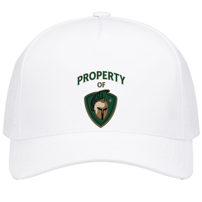 tc-titans-property-of-titans-pacific-headwear-weekender-perforated-snapback-cap — White — Front — source sha256 e6c4f916220ab274054b2fd4287cee3d4678d2bfb42a4f2045b7167f260c3016 — Color position 6