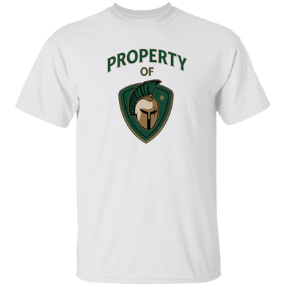 tc-titans-property-of-titans-gildan-youth-5-3-oz-100-cotton-t-shirt — White — Front — source sha256 e9a21692621eee034f68815a653b3a42bdc75485dc13020dfbbdcad9d919c681 — Color position 1