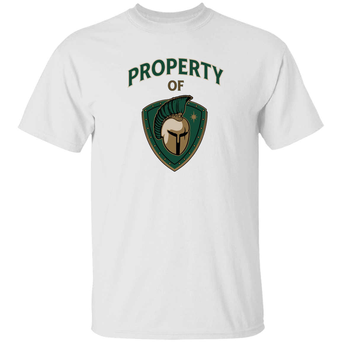 tc-titans-property-of-titans-gildan-5-3-oz-t-shirt — White — Front — source sha256 e9a21692621eee034f68815a653b3a42bdc75485dc13020dfbbdcad9d919c681 — Color position 3