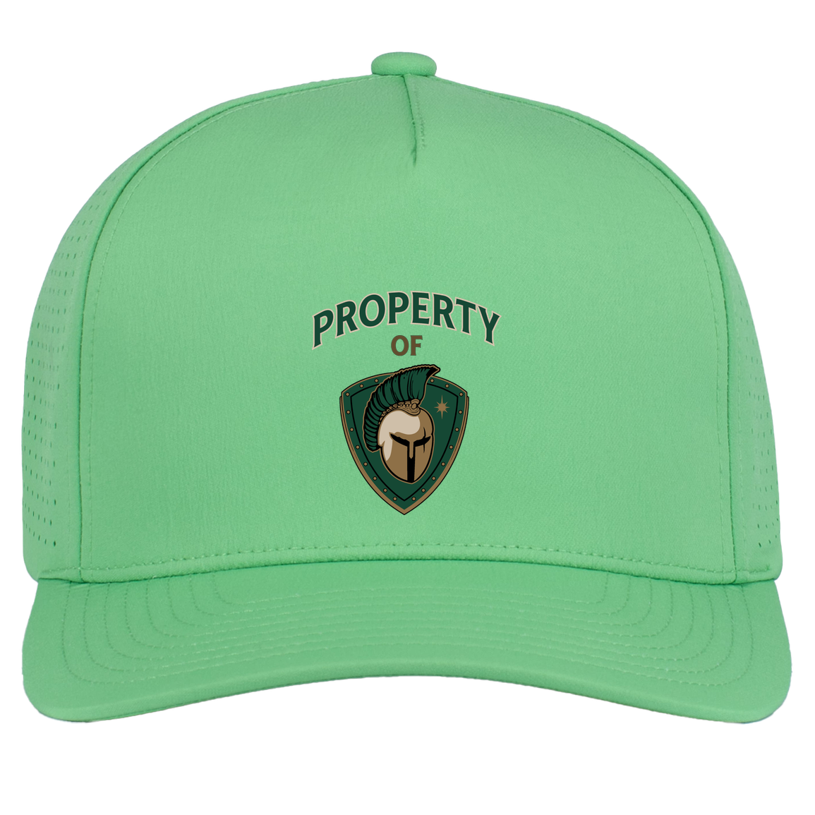 tc-titans-property-of-titans-pacific-headwear-weekender-perforated-snapback-cap — Green — Front — source sha256 ef213163bf55e16070d64091ef4fb772f23ea98d6e768f8071c60ccf8c2dc58a — Color position 8