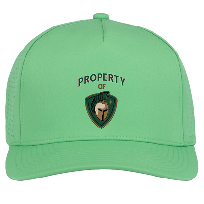 tc-titans-property-of-titans-pacific-headwear-weekender-perforated-snapback-cap — Green — Front — source sha256 ef213163bf55e16070d64091ef4fb772f23ea98d6e768f8071c60ccf8c2dc58a — Color position 8
