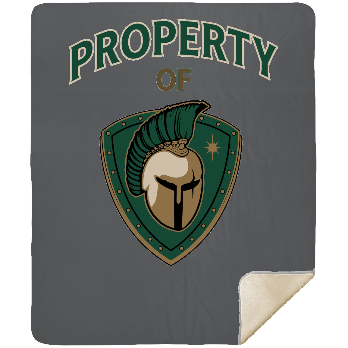 tc-titans-property-of-titans-mshm-premium-sherpa-blanket-50x60 — Gray — Front — source sha256 f7e13e1fd3612f07d7682b5efeb664e36a44087840d908dd312b3a672a58faef — Color position 3