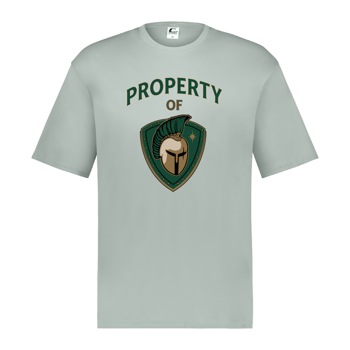 tc-titans-property-of-titans-c2-mens-performance-short-sleeve-tee — Silver — Front — source sha256 f9cd5a1d5122ad90c95271d70e2106197cf3184c444c481ae8011c04f6f43194 — Color position 3