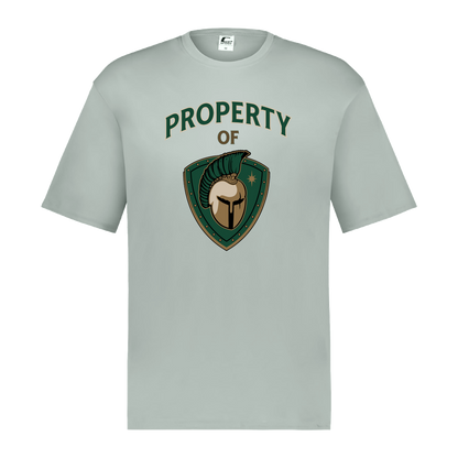 tc-titans-property-of-titans-c2-mens-performance-short-sleeve-tee — Silver — Front — source sha256 f9cd5a1d5122ad90c95271d70e2106197cf3184c444c481ae8011c04f6f43194 — Color position 3