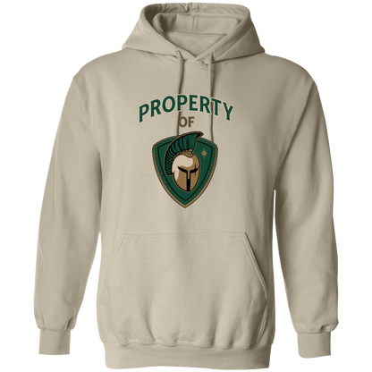 tc-titans-property-of-titans-gildan-pullover-hoodie — Sand — Front — source sha256 fae99fc161f77d813822453eef94c50b435035fe176d6a28936b6073835414c1 — Color position 1