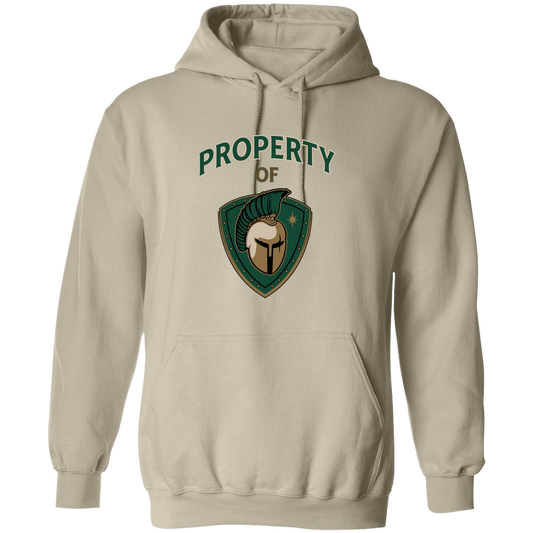 tc-titans-property-of-titans-gildan-pullover-hoodie — Sand — Front — source sha256 fae99fc161f77d813822453eef94c50b435035fe176d6a28936b6073835414c1 — Color position 1