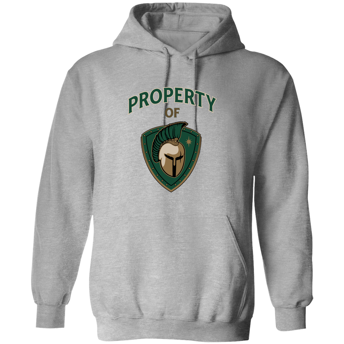 tc-titans-property-of-titans-gildan-pullover-hoodie — Sport Grey — Front — source sha256 feae9261817c05084151551ea9f229945ecf87a83cfad18e9aa6d88d40cf3e69 — Color position 2