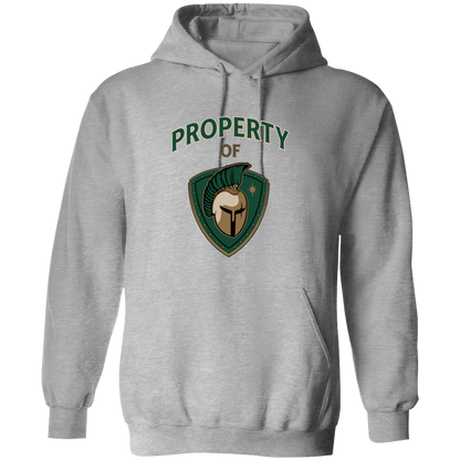 tc-titans-property-of-titans-gildan-pullover-hoodie — Sport Grey — Front — source sha256 feae9261817c05084151551ea9f229945ecf87a83cfad18e9aa6d88d40cf3e69 — Color position 2