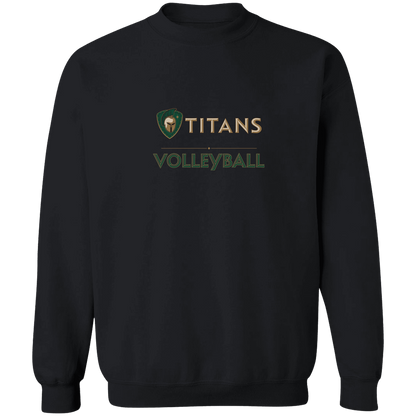 tc-titans-volleyball-basic-gildan-crewneck-pullover-sweatshirt — Black — Front — source sha256 8c0e6c88f36ec41f6148a64dd357e0e99ef872960a9b222fa2c998c341305932 — Color position 4