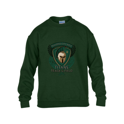 tc-titans-winged-warrior-crest-gildan-kids-heavy-blend-fleece-crew — Forest Green — Front — source sha256 4776b0b58495d28949a17984196bef320fabcfab86625ccf70c3497abc15ebf0 — Color position 5