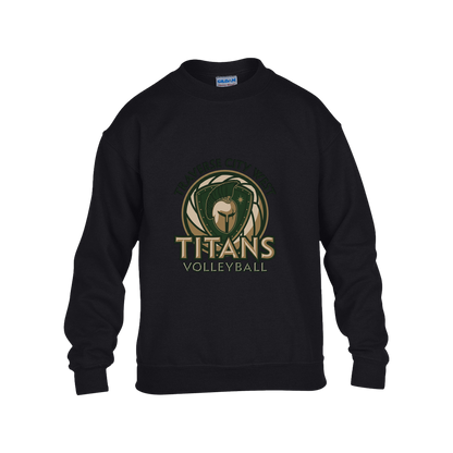 tc-titans-volleyball-bold-mascot-gildan-kids-heavy-blend-fleece-crew — Black — Front — restored 2026-09-05 — source sha256 d609b55fdbbab622212f3a63842c9598dfb1fc2d0f976a70ebed420b24f1fffc