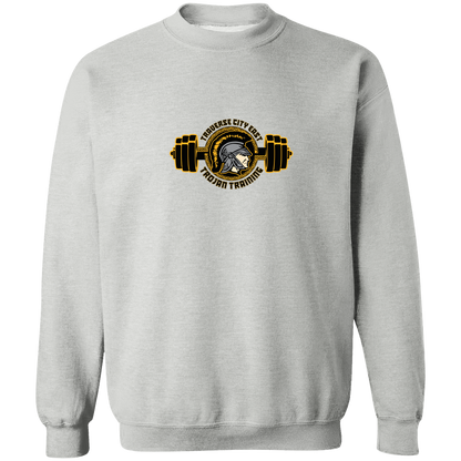 tc-trojans-ems-training-logo-gildan-crewneck-pullover-sweatshirt — Sport Grey — Front — source sha256 2b8300f3bf03037a78616e7d20d1f13e51ba935634eca5ecf49218ce32f2a95f — Color position 1