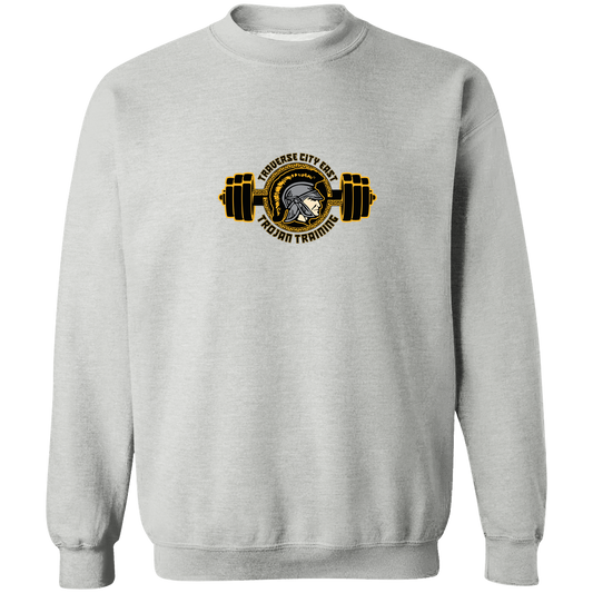 tc-trojans-ems-training-logo-gildan-crewneck-pullover-sweatshirt — Sport Grey — Front — source sha256 2b8300f3bf03037a78616e7d20d1f13e51ba935634eca5ecf49218ce32f2a95f — Color position 1