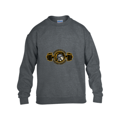 tc-trojans-ems-training-logo-gildan-kids-heavy-blend-fleece-crew — Dark Heather — Front — source sha256 309690352725cdb540f5472f1ceb54be5edd3cf25eac6e5ba325c8752c1b1a03 — Color position 2