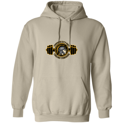 tc-trojans-ems-training-logo-gildan-pullover-hoodie — Sand — Front — source sha256 405548d4ebab28e3110c0711bf6c67a51eb97969b7cf769b1dbc8aa9bff1ad07 — Color position 1