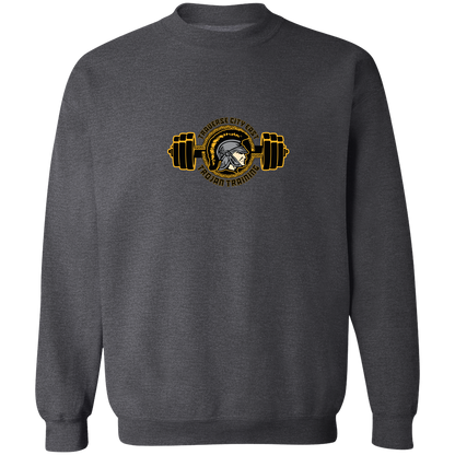 tc-trojans-ems-training-logo-gildan-crewneck-pullover-sweatshirt — Dark Heather — Front — source sha256 75b6a2ccca0277303a9c0db39bd8e2870a972419266f62c2c567ddf3caabcd40 — Color position 6