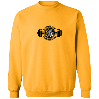 tc-trojans-ems-training-logo-gildan-crewneck-pullover-sweatshirt — Gold — Front — source sha256 7f63f3bd1b03bcdcd3ad5c171aa98374b9147b8a43a8eb735341449834508e6d — Color position 7