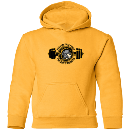tc-trojans-ems-training-logo-gildan-youth-pullover-hoodie — Gold — Front — source sha256 8dfe5bc9264dfc20aab2d3b442052c002834d682ae3f02a47f63a5207752e061 — Color position 5