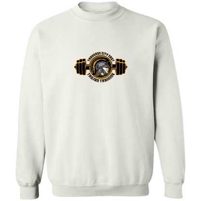 tc-trojans-ems-training-logo-gildan-crewneck-pullover-sweatshirt — White — Front — source sha256 a628381a559ff26ce3ce1383885dfbfce004aaf4d47adc9724a06a4c7809a51c — Color position 3