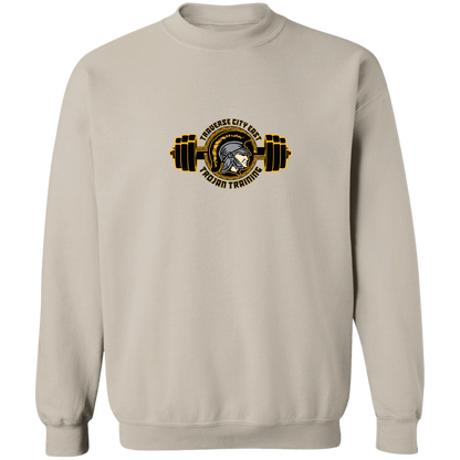 tc-trojans-ems-training-logo-gildan-crewneck-pullover-sweatshirt — Sand — Front — source sha256 a9d1d848d75ffd4269a3539dccaf07c169a1a41c3fa692f44bd644bd282479a6 — Color position 5