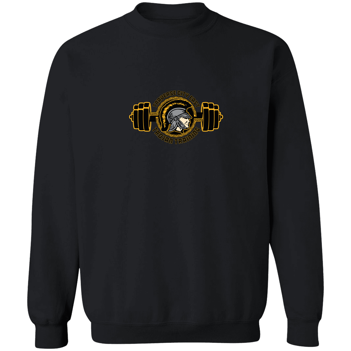 tc-trojans-ems-training-logo-gildan-crewneck-pullover-sweatshirt — Black — Front — source sha256 c9ee900178908f6499035968c2aced76422a850f86aa6fe530894ad6ea9df381 — Color position 4