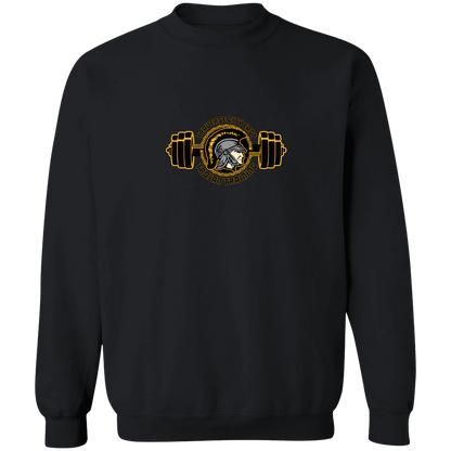 tc-trojans-ems-training-logo-gildan-crewneck-pullover-sweatshirt — Black — Front — source sha256 c9ee900178908f6499035968c2aced76422a850f86aa6fe530894ad6ea9df381 — Color position 4