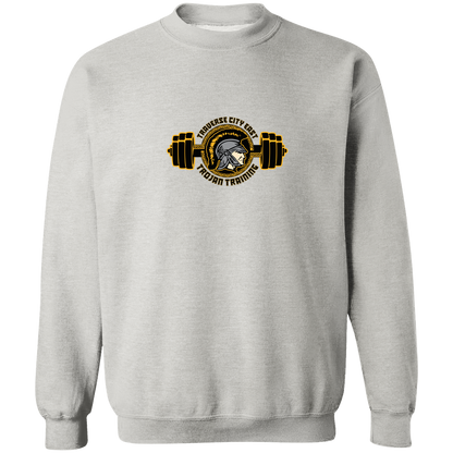 tc-trojans-ems-training-logo-gildan-crewneck-pullover-sweatshirt — Ash — Front — source sha256 e269df99a714ebdb7b38d272ff02e6b5d2101f73318577e87596548482eca647 — Color position 2