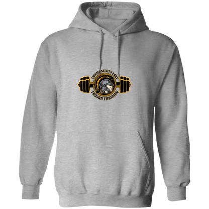 tc-trojans-ems-training-logo-gildan-pullover-hoodie — Sport Grey — Front — source sha256 e36d9a1415f0d36938e326794e2a65ddbdb36497da9c83f99673270ddfaa4e06 — Color position 2