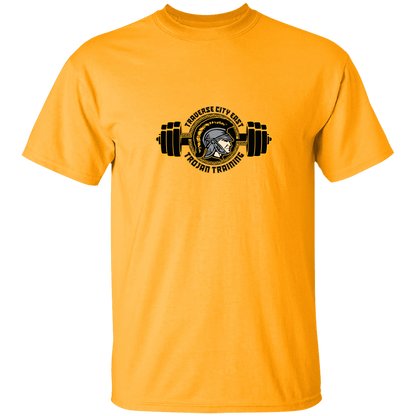 tc-trojans-ems-training-logo-gildan-5-3-oz-t-shirt — Gold — Front — source sha256 e3a8c7e030b6a95edc240874c2059affcaa29f24c3d5d1676c7f0c04e81b455a — Color position 7