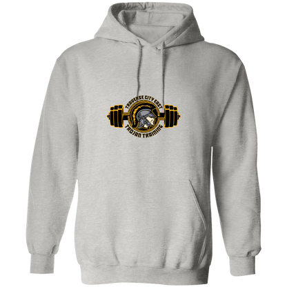 tc-trojans-ems-training-logo-gildan-pullover-hoodie — Ash — Front — source sha256 f207a685453adca6ebd2cb18a0eed9ab3a31f5c8661001a421f7e60ae7e3909c — Color position 3