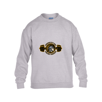 tc-trojans-ems-training-logo-gildan-kids-heavy-blend-fleece-crew — Grey — Front — source sha256 fb4fdecebdb0b9b3745c2c1f6eccc7eadce8b63e14353e8423fd513624c7b87d — Color position 3