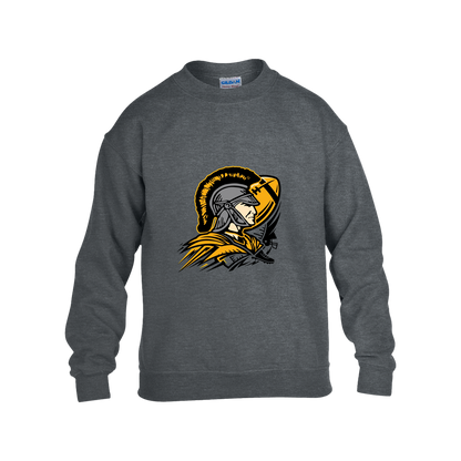 tc-trojans-football-graphic-v2-gildan-kids-heavy-blend-fleece-crew — Dark Heather — Front — source sha256 7a151a8024ae01f33af316651b78bc55136e627177f2811b85fb0b088bae14d0 — Color position 2