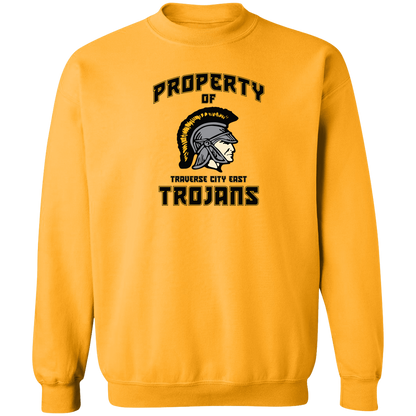 tc-trojans-sport-property-of-3600x4200-gildan-crewneck-pullover-sweatshirt — Gold — Front — source sha256 348e9f9d6626d112abed13ebfb075f2a98ec3264f37ec5a2dd0d82e0ba17c051 — Color position 7