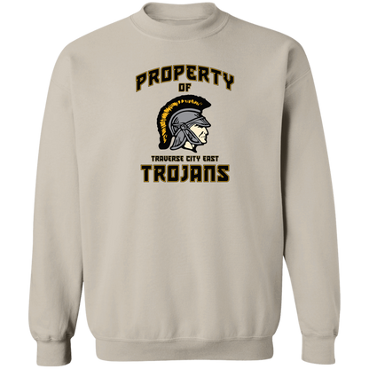 tc-trojans-sport-property-of-3600x4200-gildan-crewneck-pullover-sweatshirt — Sand — Front — source sha256 5e0591d413bd59e6ceb72afcb5b317f42e090f31e3260dd14546e40ff7abd841 — Color position 5