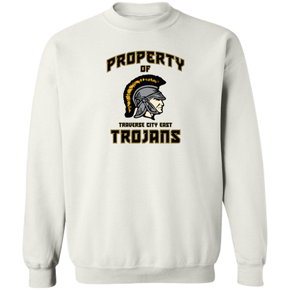 tc-trojans-sport-property-of-3600x4200-gildan-crewneck-pullover-sweatshirt — White — Front — source sha256 8e67d600a1803bbceb243b0c1f43863dd9bf22639148459a2e499c7f6580e7b4 — Color position 3
