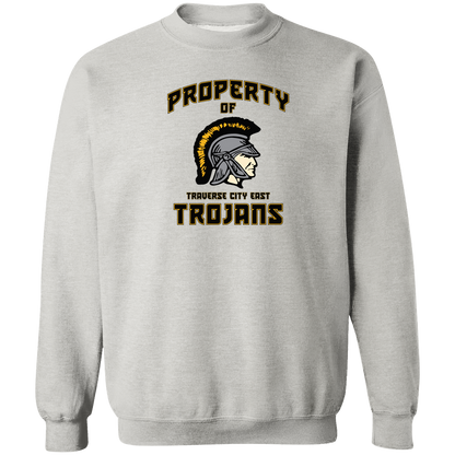 tc-trojans-sport-property-of-3600x4200-gildan-crewneck-pullover-sweatshirt — Ash — Front — source sha256 d679fb33028b8f9311ac91225bc9fa9a8524479f999c273fe5730daa55c489e8 — Color position 2