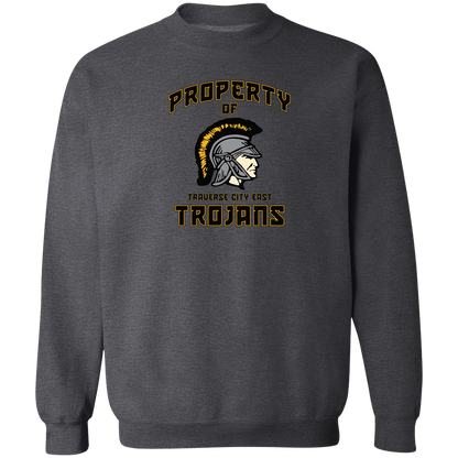 tc-trojans-sport-property-of-3600x4200-gildan-crewneck-pullover-sweatshirt — Dark Heather — Front — source sha256 f0ec0d9001e2cce7fc6ff8781f3cabf2d29cacff73bc3a510cc6a42d4ed21cf7 — Color position 6