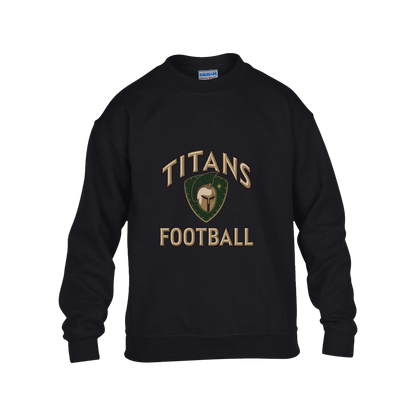 titans-tc-titans-football-basic-gildan-kids-heavy-blend-fleece-crew — Black — Front — source sha256 f025a3d3ca69c38b763fedd491ff14bbfa5222263ff151169dc32cc75c3ad133 — Color position 1